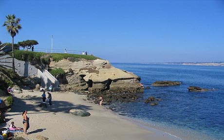 Picture of La Jolla Cove Below La Jolla Village