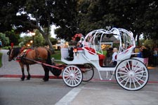 Picture of Carriage Seaport Village