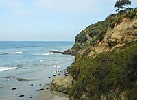 Encinitas Beach, California