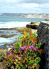 La Jolla Beaches